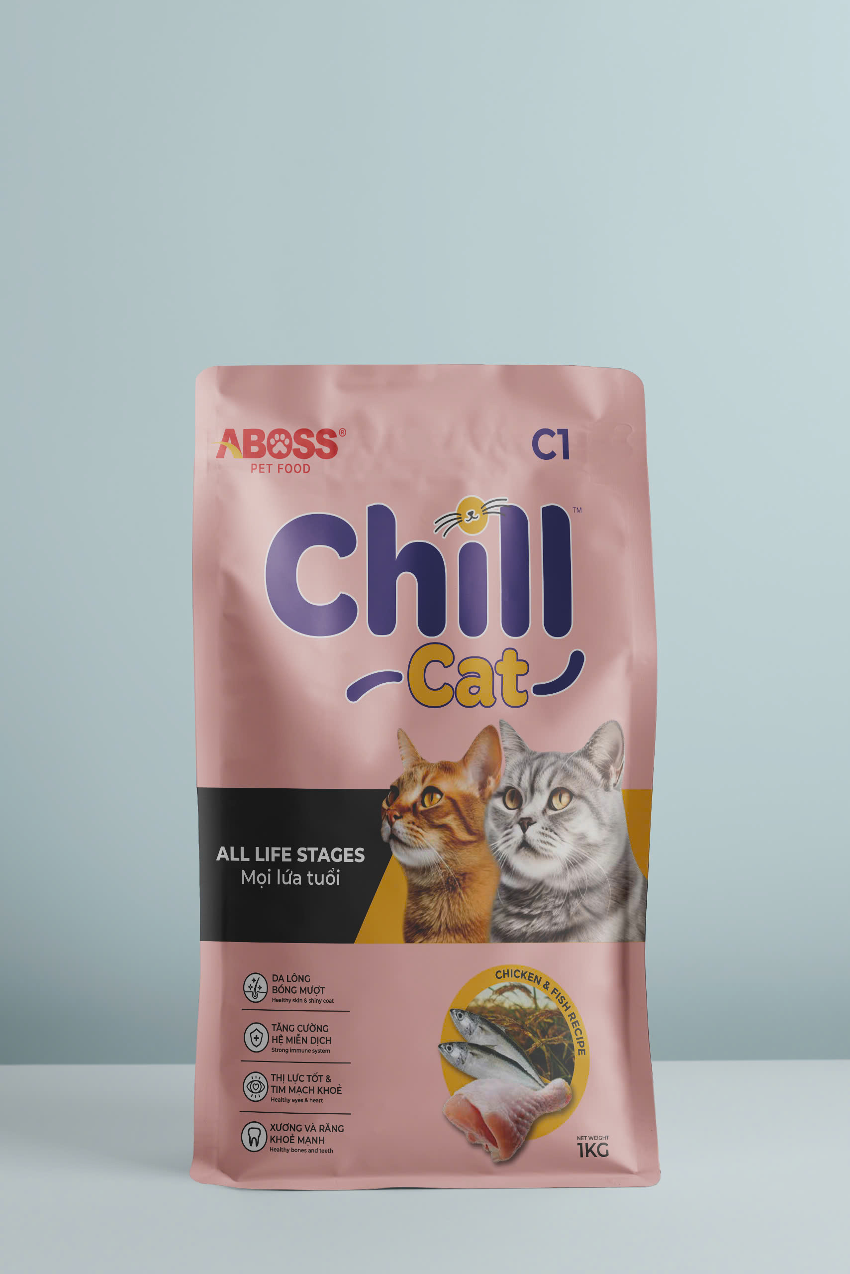 Chill cat C1